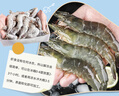 繽鮮 蝦 青島大蝦基圍蝦鮮活青蝦白蝦海蝦對蝦冰蝦凍蝦生鮮 蝦類(lèi)批發(fā) 鹽凍大蝦 3.6斤(凈重)  17-21cm【單只凍 特大蝦王】 曬單實(shí)拍圖