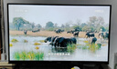 飛利浦（PHILIPS）32英寸高清智慧屏臥室小屏超寬環(huán)繞立體聲 智能投屏液晶平板電視機32PHF6590/T3 國家補貼15% 曬單實拍圖