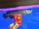 仟湖OFG2龍魚(yú)飼料金龍魚(yú)紅龍魚(yú)銀龍魚(yú)專(zhuān)用魚(yú)食增艷水族專(zhuān)用魚(yú)糧魚(yú)食 G2大粒20g*2【贈送1包20g】 曬單實(shí)拍圖