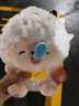 梵達森（FAN DA SEN）懶洋洋喜羊羊灰灰公仔抱抱系列玩偶兒童可愛(ài)毛絨玩具生日禮物 懶羊羊 35厘米 曬單實(shí)拍圖