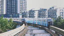 適馬/SIGMA 16mm 30mm 56mm 18-50mm 28-70mm二手微單鏡頭適馬三劍客 56mm f/1.4 DC DN 【索尼E口】 99新 曬單實(shí)拍圖