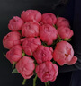 喜寶（HiPP）德國珍寶版益生菌 高鈣兒童學(xué)齡前奶粉1+段（1-6歲）600g*4盒/箱 曬單實(shí)拍圖