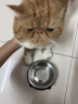 派乐特宠物不锈钢狗碗猫碗倾斜护颈防打翻漏食宠物碗猫饭盆食盆 实拍图