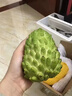 采緹（CAITI）現貨大目鳳梨釋迦果5斤 新鮮番荔枝佛頭果水果孕婦整箱 精選凈重一斤中果（2-3個(gè)） 曬單實(shí)拍圖
