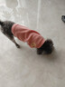 曇蓓漫貓咪衣服防掉毛夏季貓咪狗狗衣服寵物衣服幼貓中小型犬春秋衣服 粉色熊熊頭（M碼建議4-6斤） 【貓狗通用/透氣舒適】 曬單實(shí)拍圖