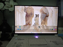 聯(lián)想拯救者R9000P 2025 AI元啟游戲筆記本電腦(銳龍9 8945HX 32G1T RTX5060 2.5K240Hz 白)國家補貼20% 曬單實(shí)拍圖