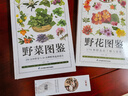 【包郵】含章·圖鑒系列（植物圖鑒） 野花圖鑒 179種野花的了解與鑒賞 曬單實(shí)拍圖