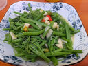 貴州當季捧瓜尖佛手瓜嫩尖新鮮龍須菜洋瓜尖葉減脂時令蔬菜 3斤 曬單實拍圖