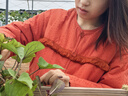朵朵·可可冬季新款夾棉格子新年本命年紅色結婚女長(cháng)袖家居服套裝 橙紅 厚款 S (155) 曬單實(shí)拍圖