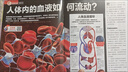 【送文具大禮包】好奇號(hào)雜志 6-12歲兒童科普百科 小學(xué)生通識(shí)教育2026年1月起訂閱 1年共12期雜志鋪 每月3本青少年科普百科Cricket Media版權(quán)中英雙語(yǔ)青少年科普百科送雙語(yǔ)冊(cè)/音頻 曬單實(shí)拍圖