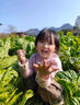 真維斯女童毛衣2025新款小女孩洋氣時(shí)髦撞色絞花上衣中大童冬款圓領(lǐng)毛衫 粉/J純色 150 曬單實(shí)拍圖