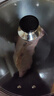 蘇泊爾（SUPOR）圓底炒鍋老式尖底鐵鍋家用無涂層爆炒菜鍋明火燃氣灶專用烹飪鍋具 3-5人適用+玻璃蓋+不銹鋼鏟 32cm 曬單實拍圖