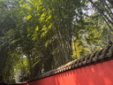 康巴絲掛鐘客廳家用日歷靜音走時(shí)簡(jiǎn)約石英鐘表掛墻時(shí)鐘 2888Y 金色 曬單實(shí)拍圖