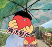天堂傘雙層防曬防紫外線太陽傘三折疊復古簡約晴雨傘兩用男女 （雙層雙面拼接）麥田 均碼 曬單實拍圖