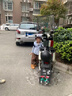 李寧童鞋兒童運動(dòng)鞋男女小童小阿甘魔術(shù)貼設計百搭休閑鞋30YKAP148-87 曬單實(shí)拍圖