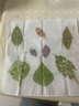 衛(wèi)辭植物拓印工具套裝拓染染材料包全套兒童diy敲拓染錘樹(shù)葉花拓印畫(huà) 【拓染工具套裝】7件套 曬單實(shí)拍圖