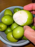 云南青棗牛奶棗新鮮水果脆甜棗貴妃蜜棗當季孕婦可吃現摘現發(fā)LL 1斤嘗鮮 中果 曬單實(shí)拍圖