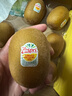 佳沛（zespri）新西蘭  陽(yáng)光金奇異果巨大果22粒原箱 單果重約144-175g 獼猴桃 曬單實(shí)拍圖