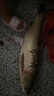 老鬼（OLDGHOST）魚(yú)餌庫戰鰱鳙餅餌方塊餌草莓腥香湖庫釣魚(yú)打窩餌料 【3包裝】庫戰·鰱鳙餅餌(雙色) 曬單實(shí)拍圖