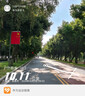 冰途冰磚冰排冰盒冰晶盒冷藏母乳保鮮空調(diào)扇蓄冷可循環(huán)使用 冰袋（20個裝） 曬單實拍圖