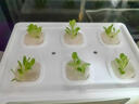 無(wú)土栽培水培生菜種植箱家庭智能蔬菜盆栽幼兒園學(xué)生觀(guān)察種菜作業(yè) 【6孔套裝】送種子+送營(yíng)養液 塑料 送番茄種子 曬單實(shí)拍圖