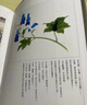 現(xiàn)貨 飛狐外傳 悅讀版 全二冊 港臺原版 金庸 明河社 香港原版 曬單實拍圖