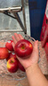 京鮮生Mr Apple新西蘭皇后紅玫瑰蘋(píng)果9粒特級果180-220g 水果禮盒 曬單實(shí)拍圖