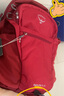 OSPREY DAYLITE PLUS 日光+ 20L多用途城市 單日戶(hù)外輕量化雙肩徒步背包 新款 紅色 Cosmic Red 曬單實(shí)拍圖