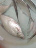 YGC林鶯便捷超短節溪流竿戶(hù)外超輕釣魚(yú)竿手竿4.5m 桔梗紫 曬單實(shí)拍圖