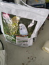 捕漁達人 虎皮鸚鵡飼料1200g豪華混合鳥(niǎo)糧新黃谷子帶殼小米加納利子鳥(niǎo)糧食 曬單實(shí)拍圖