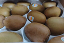 佳沛（zespri）新西蘭  陽光金奇異果巨大果22粒原箱 單果重約144-175g 獼猴桃 曬單實拍圖