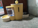 HELLOJOY猫碗狗碗宠物食盆猫咪双碗粮盆自动饮水机喝水器喂食用品 黄色 实拍图