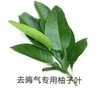巴拉巴拉童裝嬰兒羽絨服連體衣寶寶2025新款冬裝加厚保暖哈衣爬服萌趣造型 綠色恐龍-白鴨絨 80 cm-充絨量82g 曬單實拍圖
