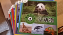 【新華書店】愛德少兒童眼觀世界立體書14冊 3-8歲寶寶兒童看圖識物書啟蒙益智早教書百科全書大百科全套恐龍百科全書認識標志功能汽車動物國家  正版包郵 【全14冊】1+2輯童眼觀世界 曬單實拍圖