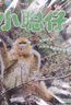 小聰仔2025年全年雜志訂閱10月起訂科普版雜志 少兒益智科普期刊 開發(fā)智力增長知識兒童期刊 曬單實拍圖