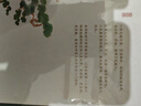 蘇東坡說(shuō)：蘇東坡詩(shī)文里的故事 《蘇軾傳》《王安石傳》作者崔銘全新力作 歷史人物傳記入門(mén)讀物 曬單實(shí)拍圖