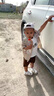 G.DUCKKIDS小黃鴨童裝男童套裝夏季2024兒童衣服0-3歲寶寶襯衫短袖三件套夏 橫口袋開衫-米色aoeeois 90 建議1~2歲【 80-90cm】 曬單實拍圖