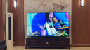 酷開(kāi)創(chuàng  )維100K3 Pro 2025款 100英寸電視+K-TD麥克風(fēng)套裝 K歌電視 家庭KTV無(wú)線(xiàn)話(huà)筒唱歌會(huì )議 雙支麥克風(fēng) 曬單實(shí)拍圖