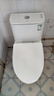 九牧（JOMOO）11173-2-1/31KD-3大力神家用馬桶虹吸抗菌節水潔具305坑距 曬單實(shí)拍圖