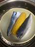 霜海國產(chǎn)鹽漬青花魚可煎可烤冷凍青花魚片生鮮海鮮水產(chǎn)單片獨立裝 85g*20袋 獨立包裝 曬單實拍圖