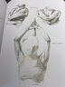 人體結(jié)構(gòu)寫(xiě)生應(yīng)用手帖三澤寬志 女生人體結(jié)構(gòu)造型設(shè)計(jì)手繪素描技法藝用人體結(jié)構(gòu)解剖 動(dòng)漫人物素描速寫(xiě)寫(xiě)生臨摹基礎(chǔ)入門教學(xué)教程書(shū) 曬單實(shí)拍圖