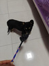 柒哦狗打棒打狗棍寵物愛心拍訓犬皮鞭子馬犬訓練用品輕便訓狗狗神器 皮質(zhì)訓狗棒小號【紅色】 曬單實拍圖