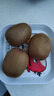 佳沛（zespri）綠奇異果優(yōu)選果27-33個(gè)原箱裝單果約101-135g水果 獼猴桃 曬單實(shí)拍圖