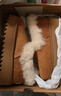 UGG【雙11搶先購】秋季新款女士厚底懶人毛毛鞋 1166733CHE|栗色38 曬單實(shí)拍圖