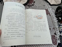 【新華書店正版】適用2025小學三年級下冊語文課本教材人教版RJ小學3年級下冊語文三下語文3下人民教育出版社義務教育教科書語文三年級下冊語文書課本教材 2025新版 三年級下冊語文【人教版】 曬單實拍圖