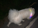 柒哦狗狗發(fā)光項圈LED狗項圈寵物七彩夜光遛狗燈充電大中小型犬頸圈 升級炫彩 USB充電自由剪裁70cm 曬單實(shí)拍圖