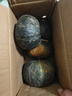 京鮮生 內蒙貝貝南瓜 凈重4.5斤(品種:盈凱) 單果240g+ 板栗香源頭直發(fā) 曬單實(shí)拍圖