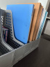 得力(deli)4联镂空桌面文件框书立架 办公室桌面四栏带标签资料文件架  书本资料收纳盒神器 蓝色27888 实拍图