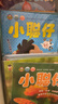 【包郵】小聰仔科普版雜志2025年1-12月（2026全年/半年訂閱/2024/2023年1-12月/幼兒版啟蒙版可選）0-4-8歲嬰兒幼兒興趣智力培養兒童科普畫(huà)報非過(guò)刊 【全年訂閱送禮品】科普版25 曬單實(shí)拍圖