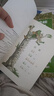 【信誼】青蛙和蟾蜍（拼音版）6-8歲 凱迪克銀獎童書(shū) 幼小銜接橋梁書(shū) 掌握拼音規范 一升二銜接 小升初銜接 曬單實(shí)拍圖